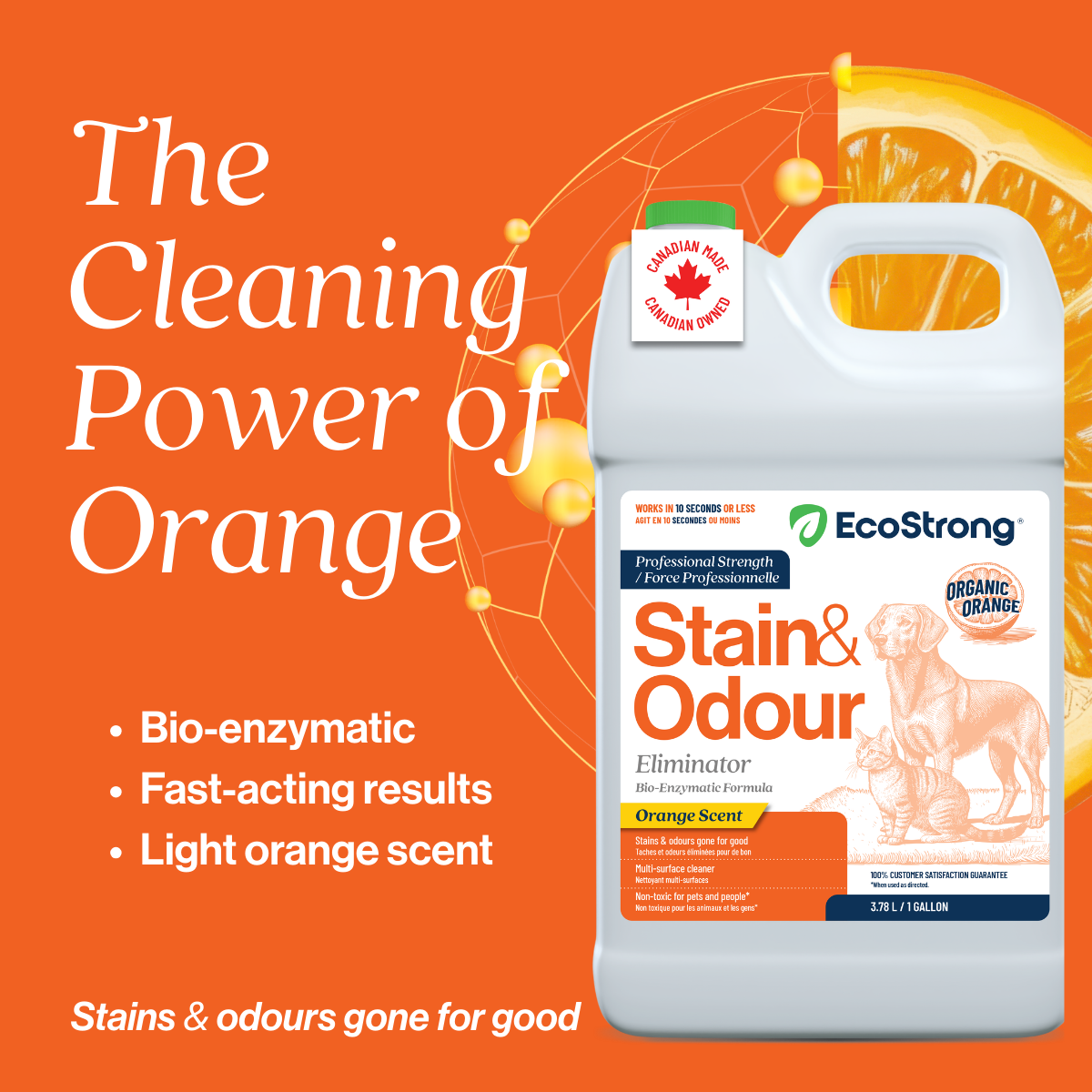 Organic Orange Stain and Odor Eliminator #size_1-gallon-jug