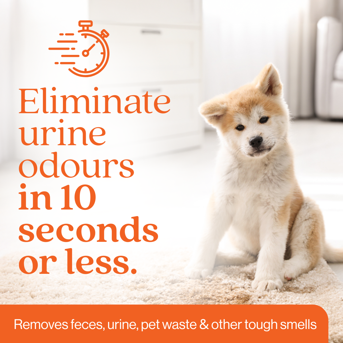 Organic Orange Stain and Odor Eliminator #size_1-gallon-jug