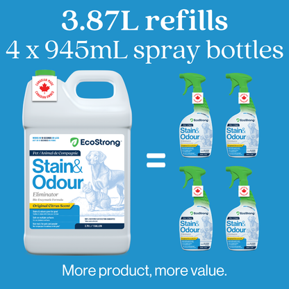 EcoStrong Pet Stain and Odor Eliminator 1 gallon #size_1-gallon-jug