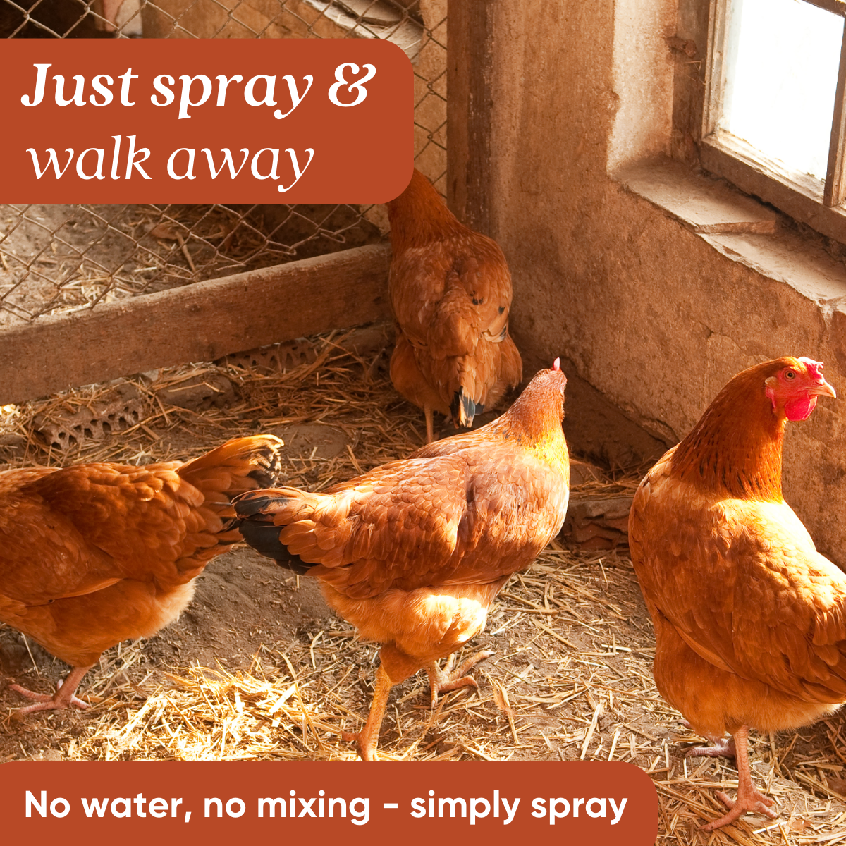 EcoStrong Chicken Coop Odor Eliminator 1 Gallon #size_1-gallon-jug