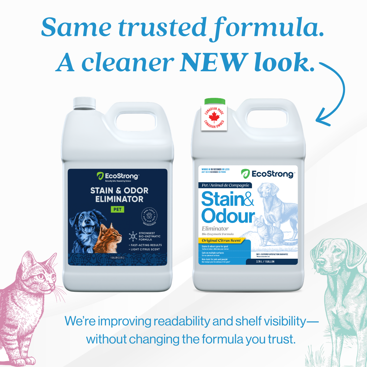 EcoStrong Pet Stain and Odor Eliminator 1 gallon #size_1-gallon-jug