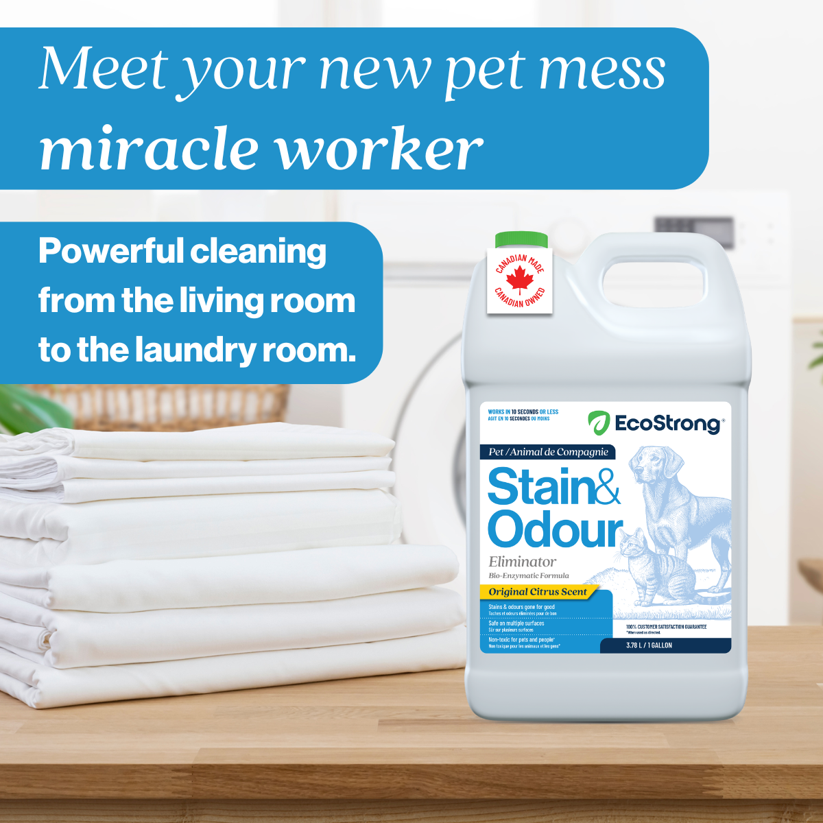 EcoStrong Pet Stain and Odor Eliminator 1 gallon #size_1-gallon-jug