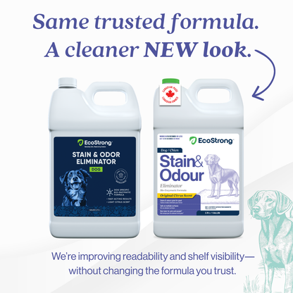 EcoStrong Dog Stain and Odor Eliminator 1 Gallon #size_1-gallon-jug