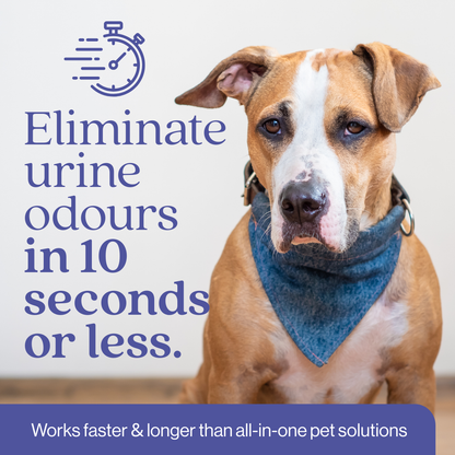 EcoStrong Dog Stain and Odor Eliminator 1 Gallon #size_1-gallon-jug