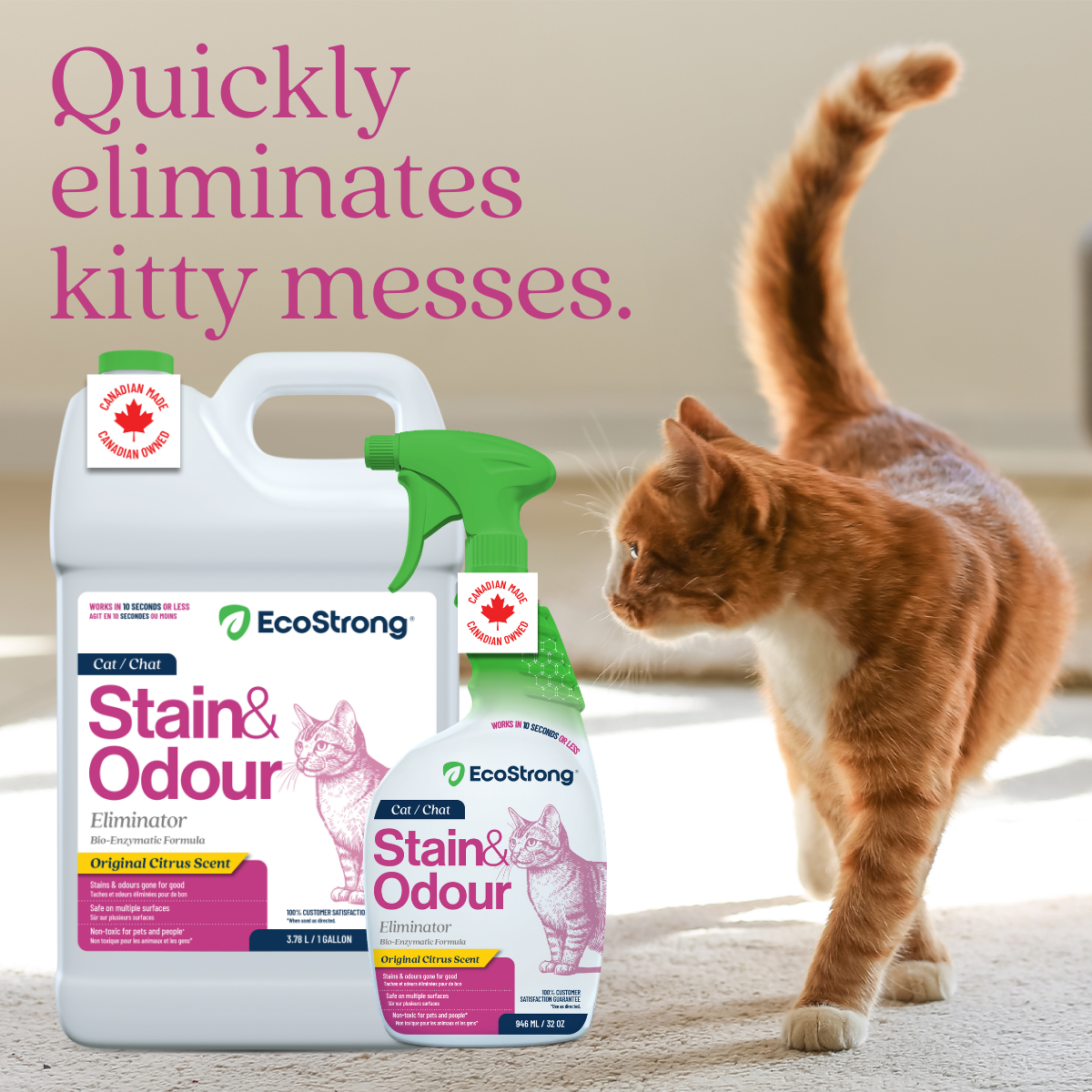 EcoStrong Cat Stain and Odor Eliminator 1 gallon #size_32-oz-sprayer-bottle-and-1-gallon-refill
