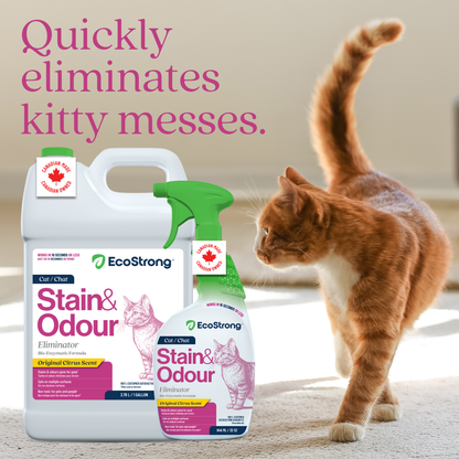 EcoStrong Cat Stain and Odor Eliminator 1 gallon #size_32-oz-sprayer-bottle-and-1-gallon-refill