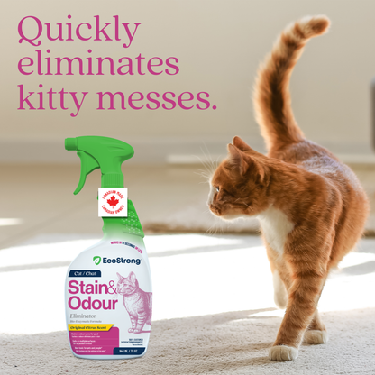 EcoStrong Cat Stain and Odor Eliminator 32 oz #size_32-oz-sprayer
