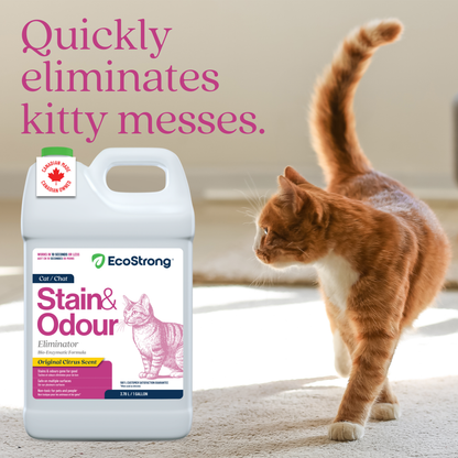 EcoStrong Cat Stain and Odor Eliminator 1 gallon #size_1-gallon-jug