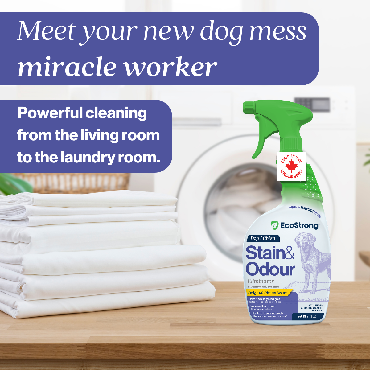 EcoStrong Dog Stain and Odor Eliminator 32 oz #size_32-oz-sprayer