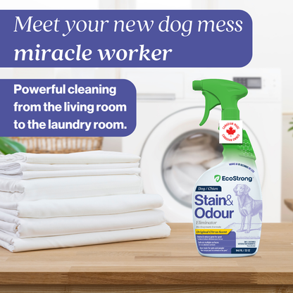 EcoStrong Dog Stain and Odor Eliminator 32 oz #size_32-oz-sprayer