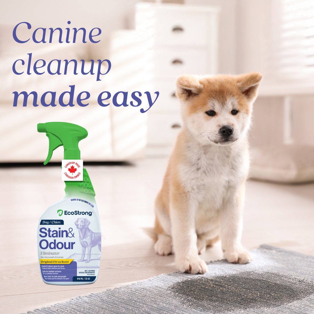 EcoStrong Dog Stain and Odor Eliminator 32 oz #size_32-oz-sprayer