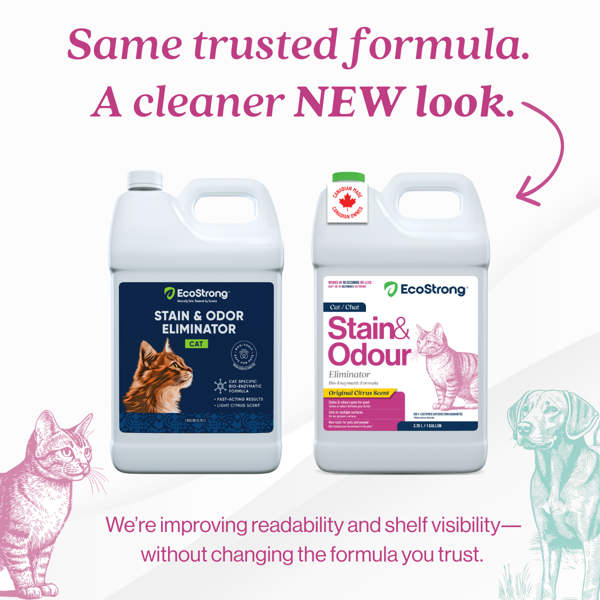 EcoStrong Cat Stain and Odor Eliminator 1 gallon #size_1-gallon-jug