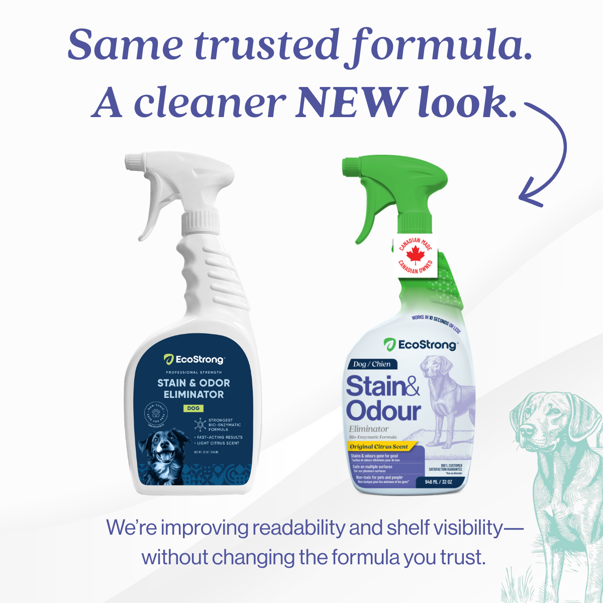 EcoStrong Dog Stain and Odor Eliminator 32 oz #size_32-oz-sprayer