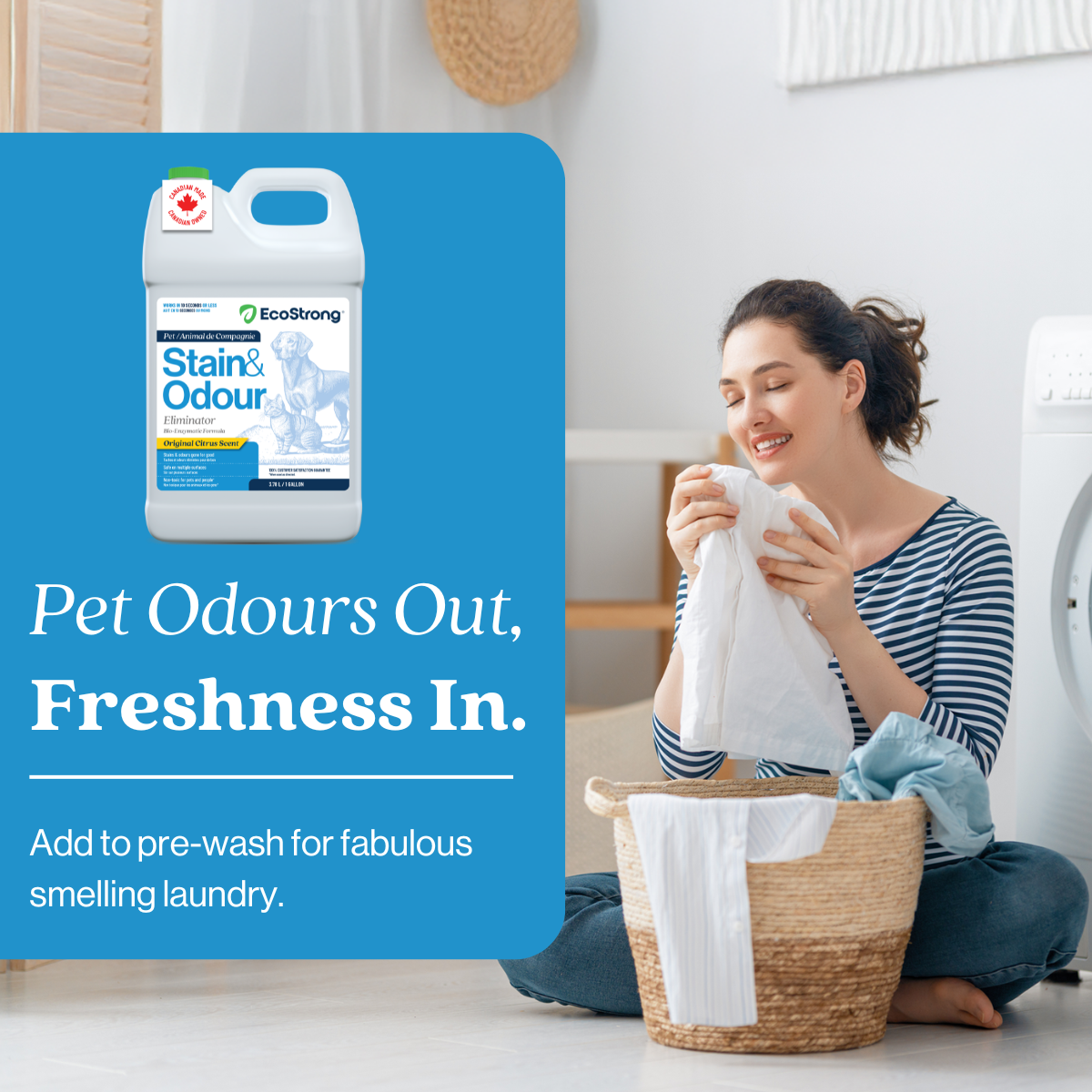 EcoStrong Pet Stain and Odor Eliminator 1 gallon #size_1-gallon-jug