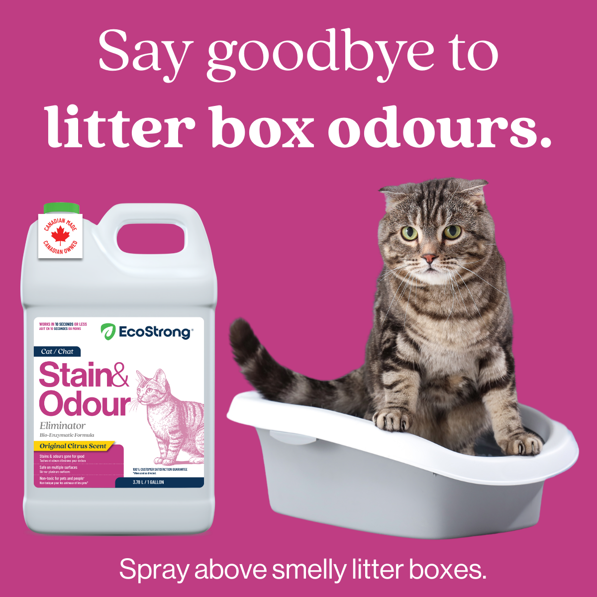 EcoStrong Cat Stain and Odor Eliminator 1 gallon #size_1-gallon-jug