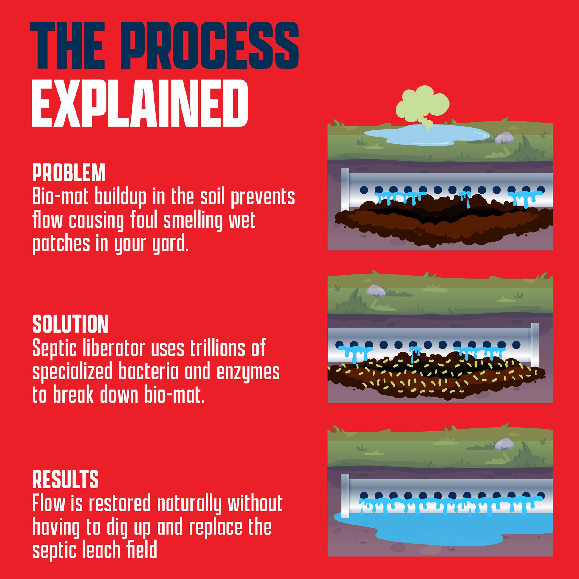 EcoStrong Septic Liberator#size_10-lbs-packs